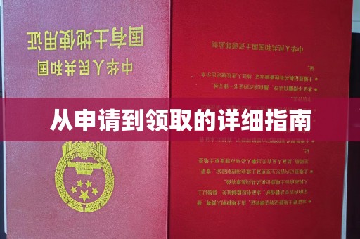 珠海从申请到领取的详细指南